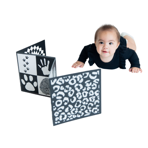 High Contrast Baby Vision Board