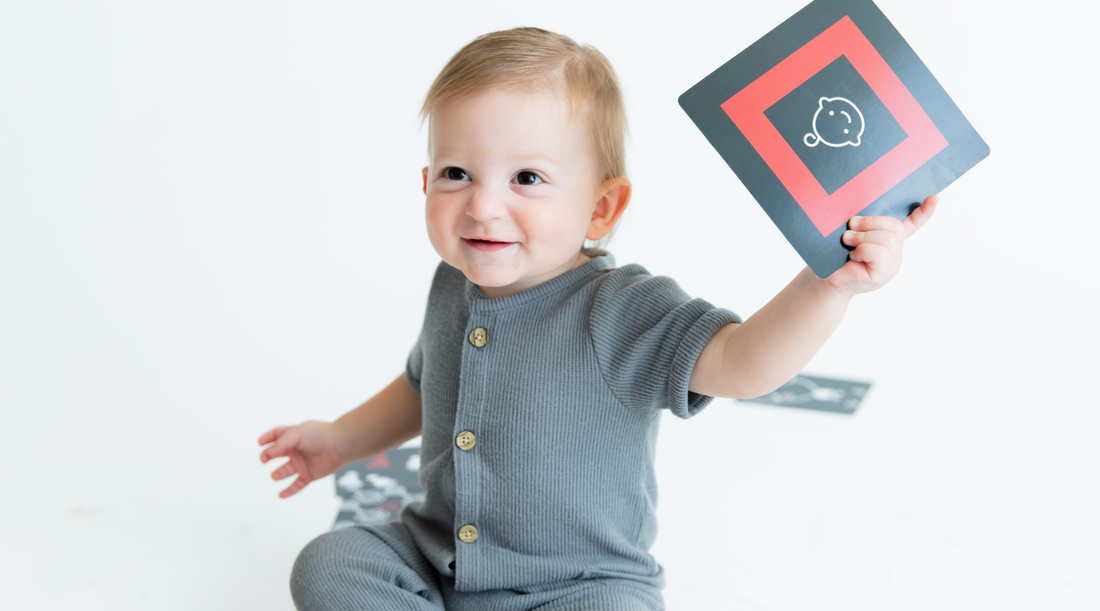 Toddler holding baby geometrics high contrast flashcard and loving them. 