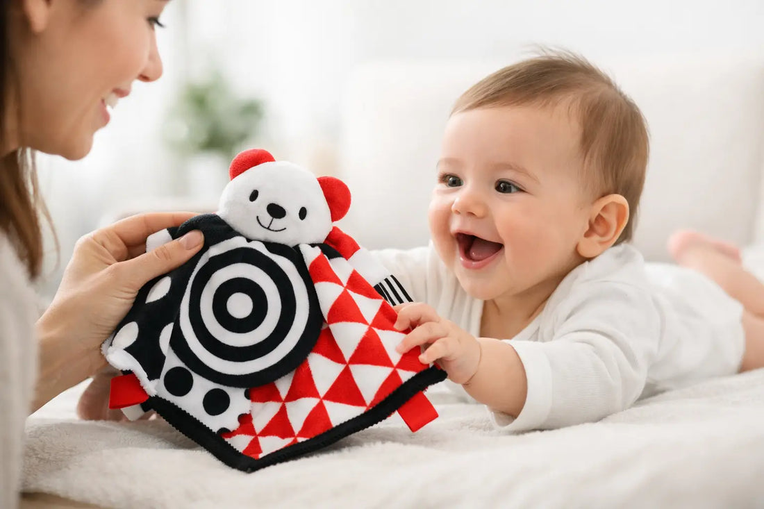 What Is a High Contrast Lovey for Babies?